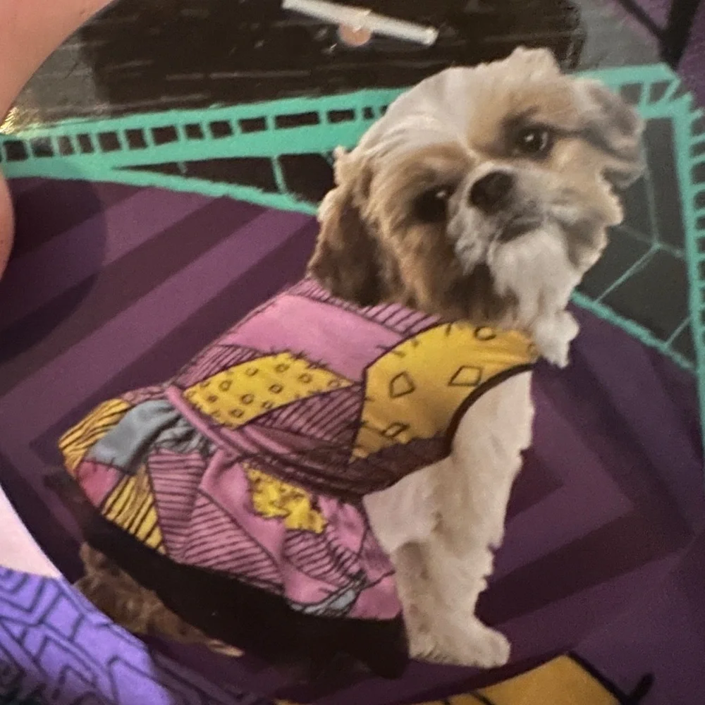 Nightmare before Christmas Sally Dog Dress